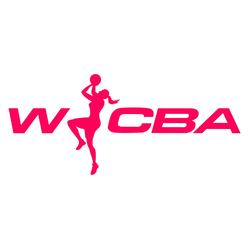 WCBA 武汉盛帆黄鹤vs河南豫光金铅20241228