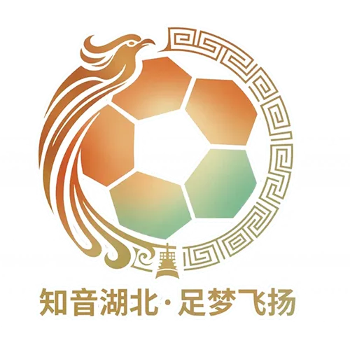 湖北省城市足球联赛 鄂州临空队VS仙桃黄鳝队20260502