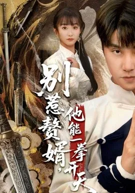 别惹赘婿，他能一拳开天