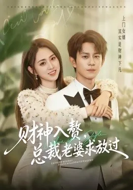 财神入赘，总裁老婆求放过
